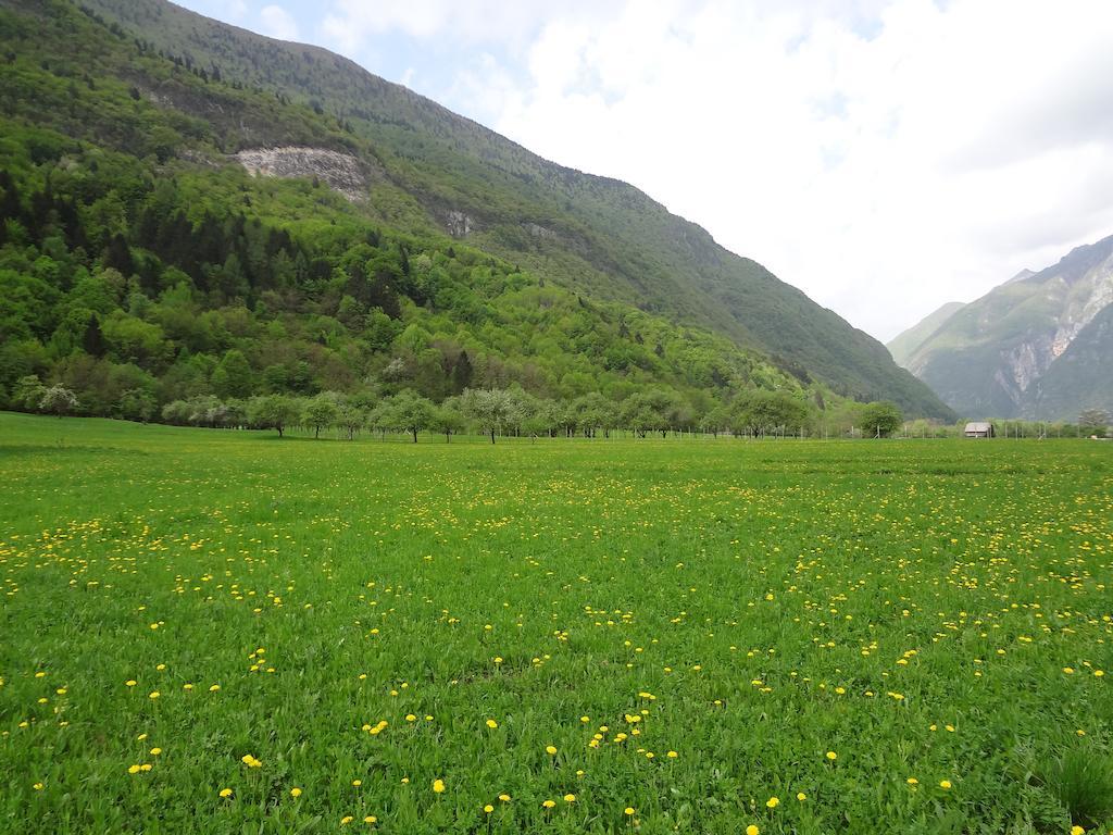 Apartment Mt Bovec Cameră foto
